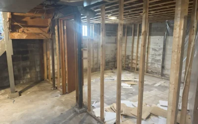 Before & After: A Basement Transformation Story